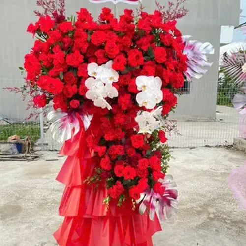 Hoa Chúc Mừng Hải Phòng 07