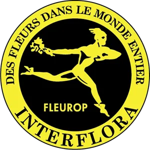 Shop Hoa Hải Phòng - Shop Hoa Tươi Hải Phòng