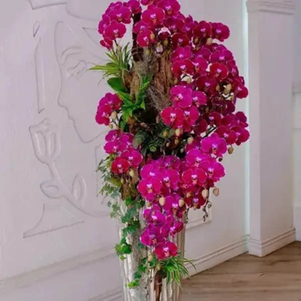 Hoa Lan Hồ Điệp Tết Hải Phòng 39