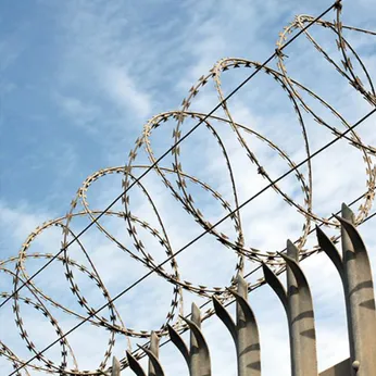 Kẽm lưỡi búa D30cm