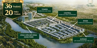 Giỏ hàng đặc biệt cam kết cho thuê 720 triệu trong 3 năm