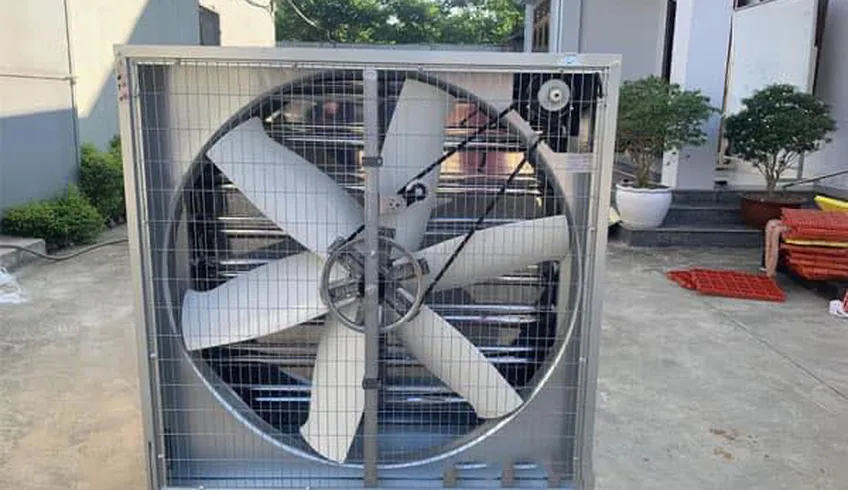 Các loại quạt công nghiệp phổ biến và cách lựa chọn phù hợp cho doanh nghiệp