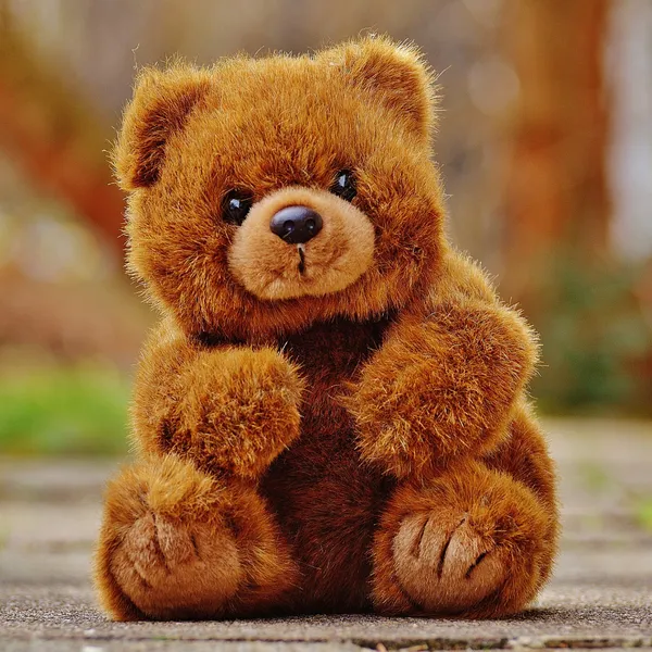 GẤU BÔNG QUÀ TẶNG 005