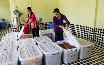 Mua mắm ruốc Bà Hai Gò Công ở đâu tại TPHCM