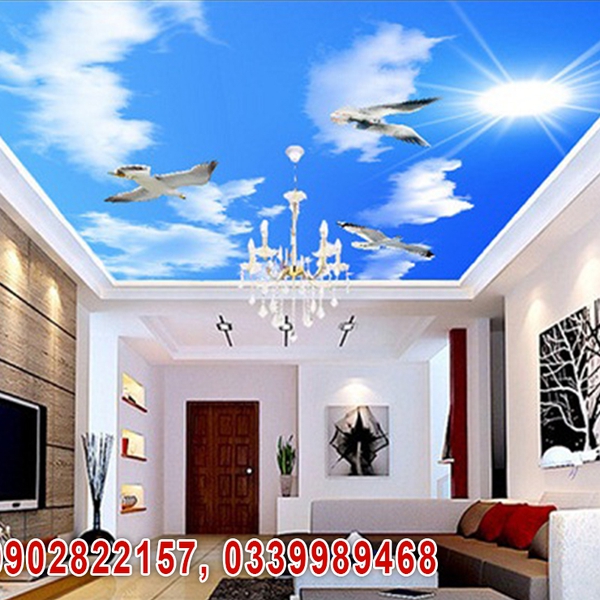 Vẽ tranh tường trần nhà