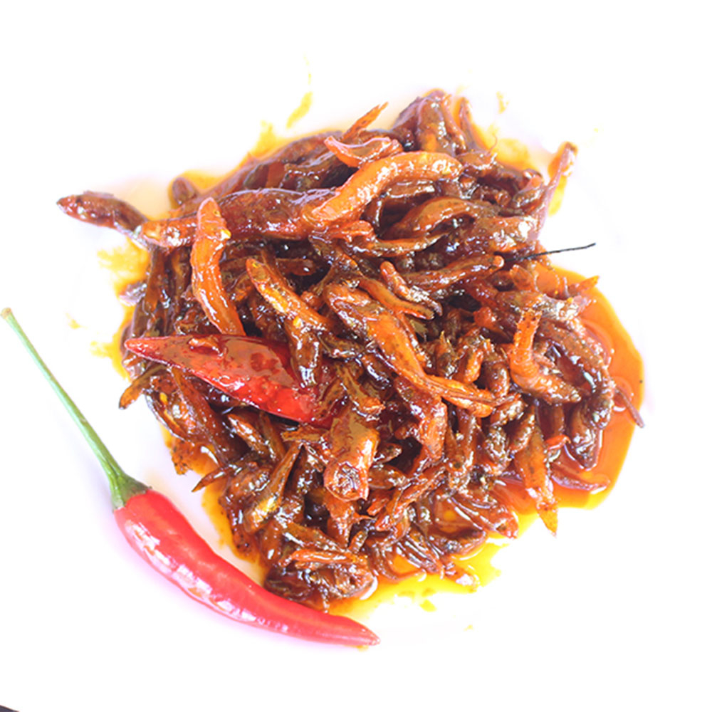 Cá bống rim Kim Hồng