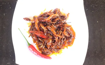 Địa chỉ mua cá bống Sông Trà ở Quảng Ngãi