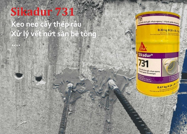CẤY THÉP RÂU BẰNG SIKADRU 731