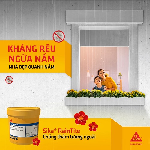 THI CÔNG CHỐNG THẤM TƯỜNG BẰNG SIKA RAINTITE