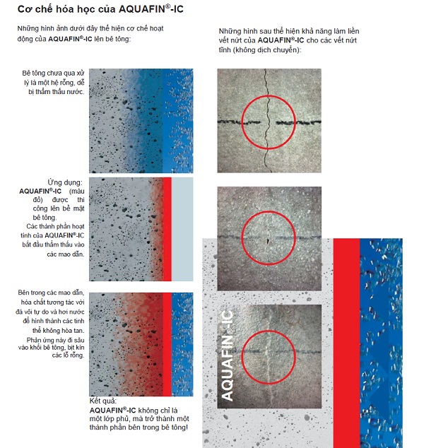 CƠ CHẾ HÓA HỌC CỦA AQUAFIN IC