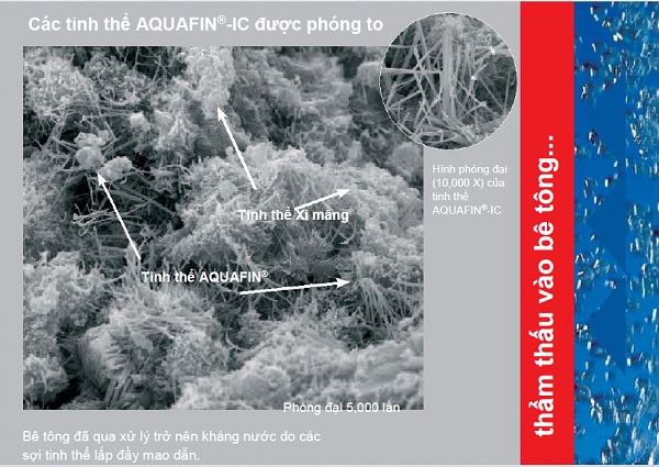 HÌNH ẢNH TINH THỂ CỦA AQUAFIN IC