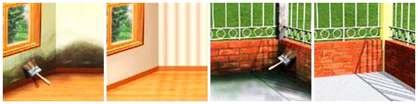 SIKAGARD 905 TẠI HCM SIKAGARD 905