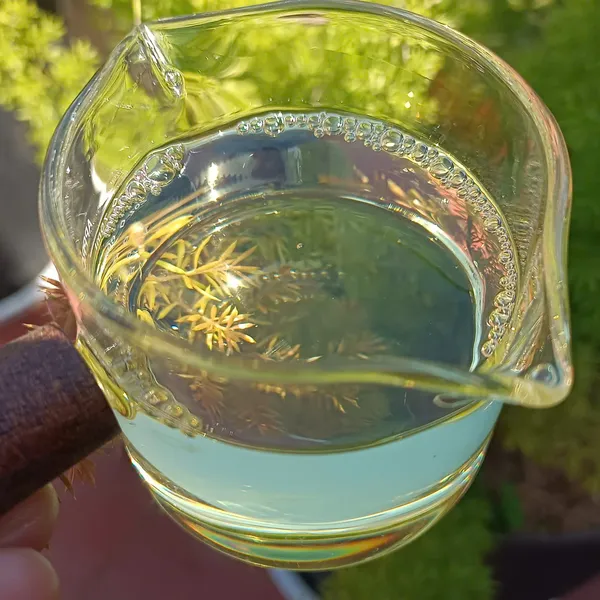 Tinh dầu Hương thảo (Rosemary) nguyên chất