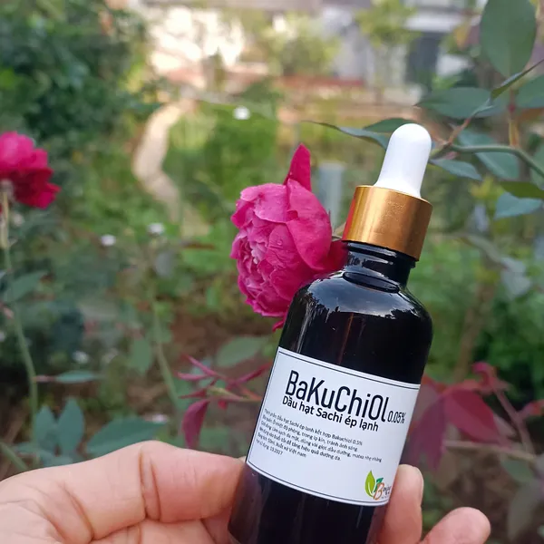 Dầu sachi kết hợp bakuchiol 0.5%