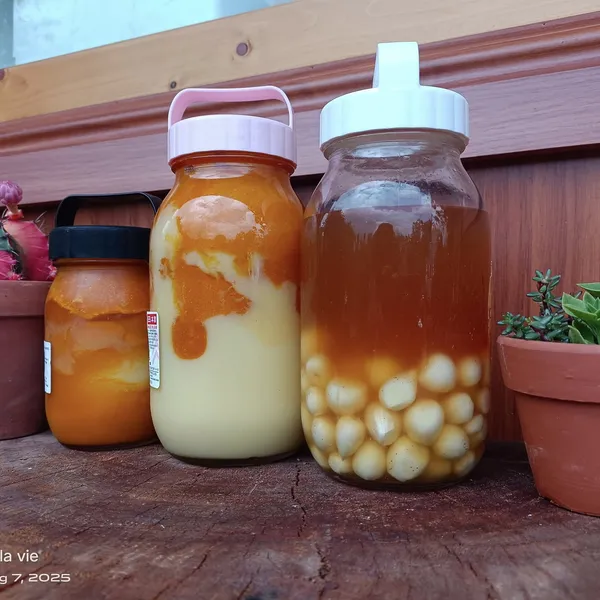 Sữa ong chúa tươi trộn mật ong