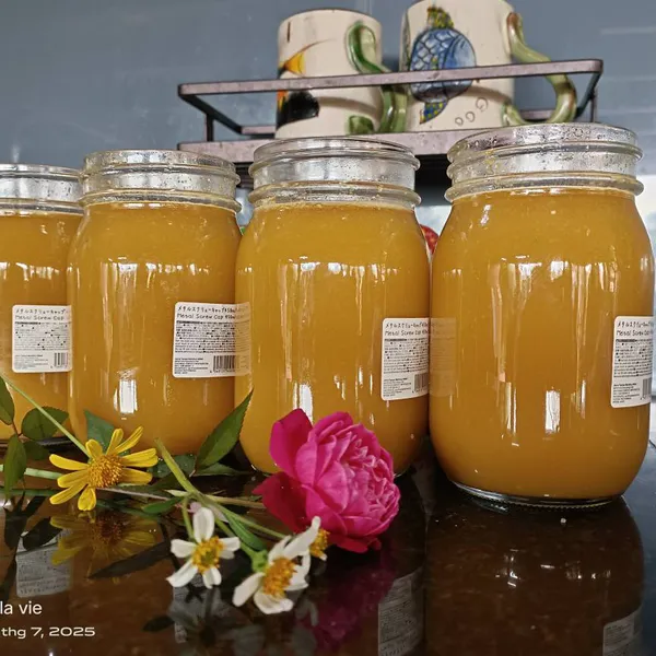 Sữa ong chúa tươi trộn mật ong