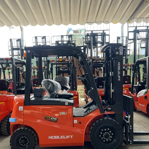 Xe nâng điện Noblelift 2.5 tấn