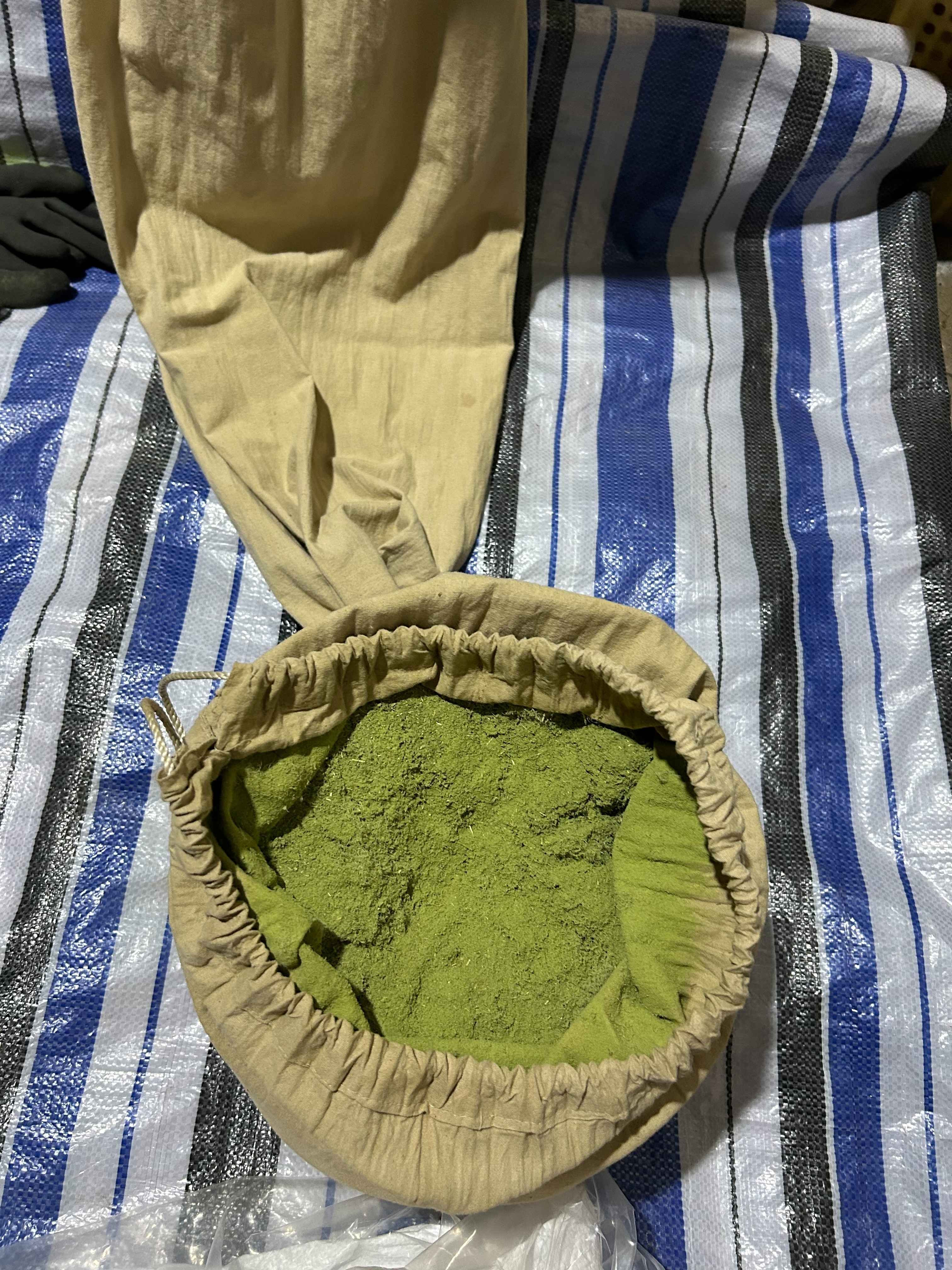 bột lá bạch đàn chanh nhang an tâm