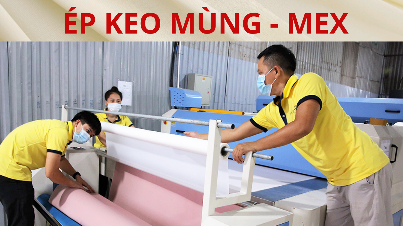 ÉP KEO VÁI NGUYÊN CÂY 