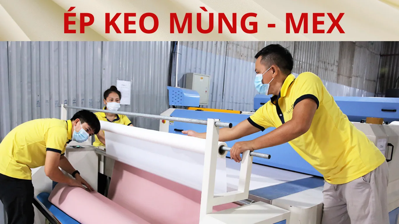 ÉP KEO VÁI NGUYÊN CÂY 