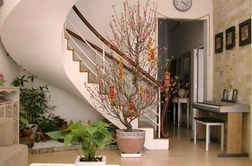 trang trí khoảng không ngày tết theo phong thủy trang trí khoảng không ngày tết theo phong thủy