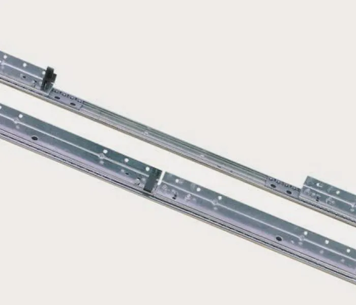 Ray trượt cánh bướm