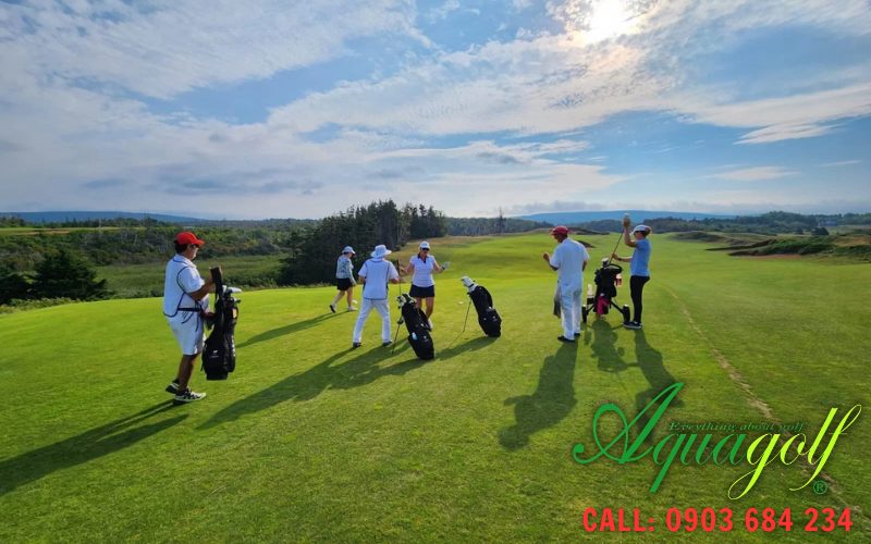 Đánh golf dễ hiểu Đánh golf dễ hiểu