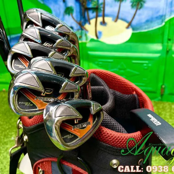 Bộ gậy đánh golf cũ Nam Wilson Prestige R
