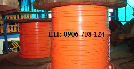 ray điện cầu trục 6P50A, 6P75A, 6P100A ray điện cầu trục 6P50A, 6P75A, 6P100A