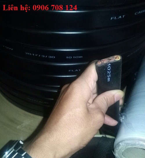 Cáp dẹt cầu trục là gì ? Cáp dẹt cầu trục là gì ?