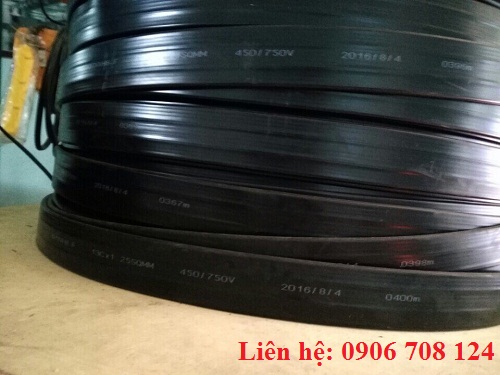 Cáp dẹt cầu trục Cáp dẹt cầu trục