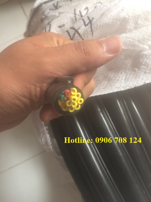 Dây cáp điều khiển cẩu trục có lõi thép 12C x 1.5 mm Dây cáp điều khiển cẩu trục có lõi thép 12C x 1.5 mm