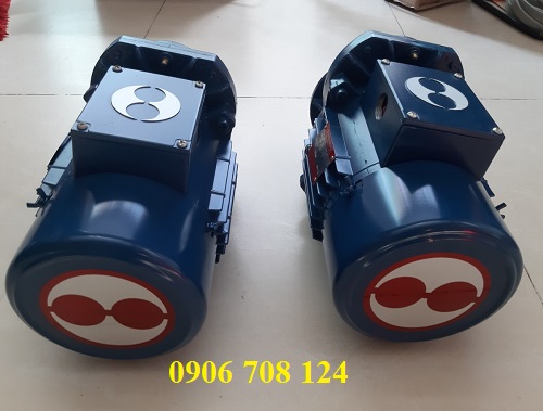 Mô tơ dầm biên cầu trục Sungdo 1.5 Kw x 4P Mô tơ dầm biên cầu trục Sungdo 1.5 Kw x 4P