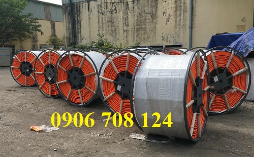 Ray điện an toàn cầu trục Tp. Hồ Chí Minh Ray điện an toàn cầu trục Tp. Hồ Chí Minh