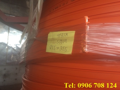 Ray điện an toàn các loại Ray điện an toàn các loại