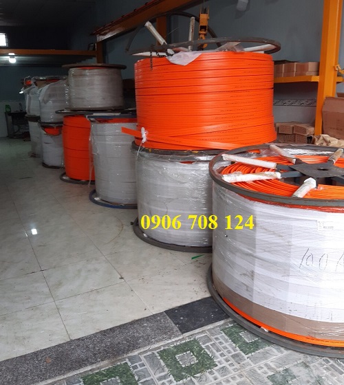 Ray điện an toàn cầu trục có các loại nào? Ray điện an toàn cầu trục có các loại nào?