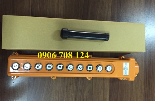 Tay cầm điều khiển cầu trục 10 nút Tay cầm điều khiển cầu trục 10 nút