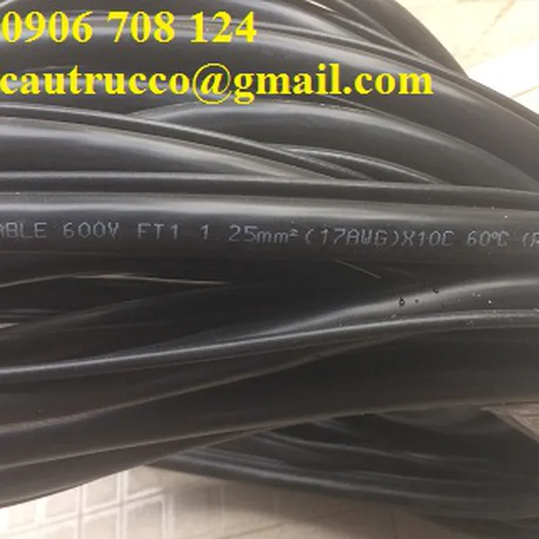 Cáp điều khiển cho tay bấm cầu trục 10C x 1.25 mm