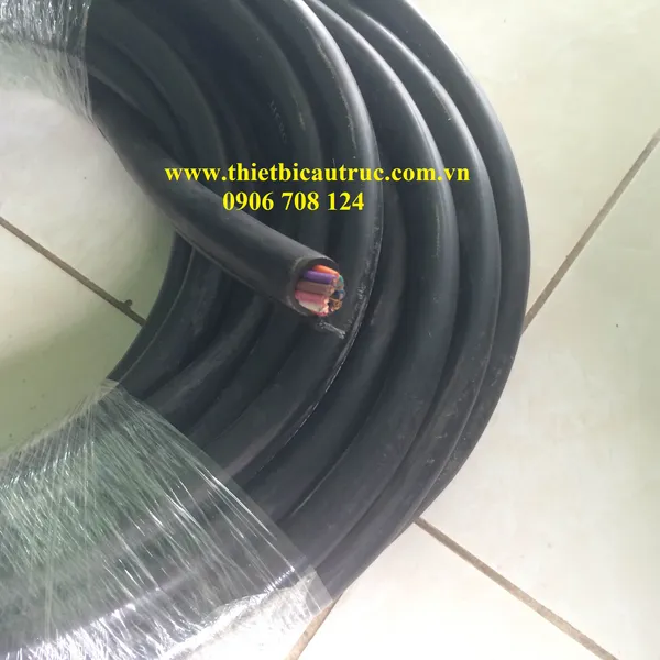 Dây cáp điều khiển cho tay bấm cầu trục