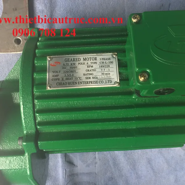 Mô tơ cầu trục