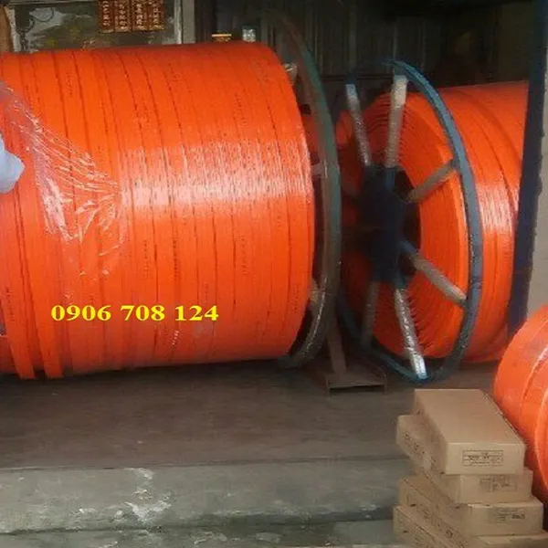 Ray dẫn điện cầu trục