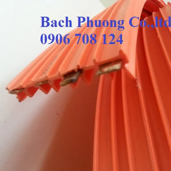 Ray điện an toàn cầu trục 4P-50A