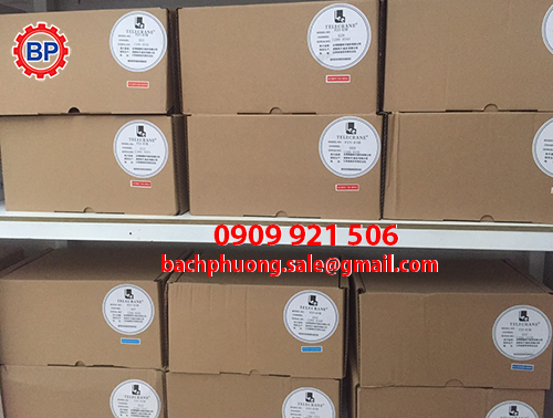 Telecrane F21- E1B bộ điều khiển từ xa 2 tay bấm Telecrane F21- E1B bộ điều khiển từ xa 2 tay bấm