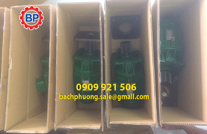 Mô tơ dầm biên hiệu ITS các loại Mô tơ dầm biên hiệu ITS các loại