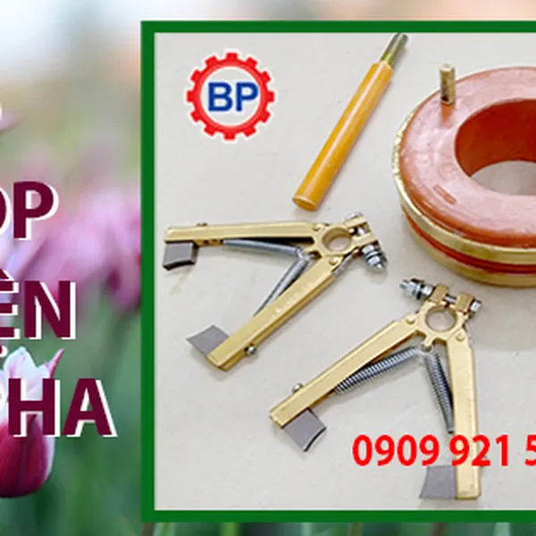 Cổ góp điện an toàn 2 pha 50x100x50mm