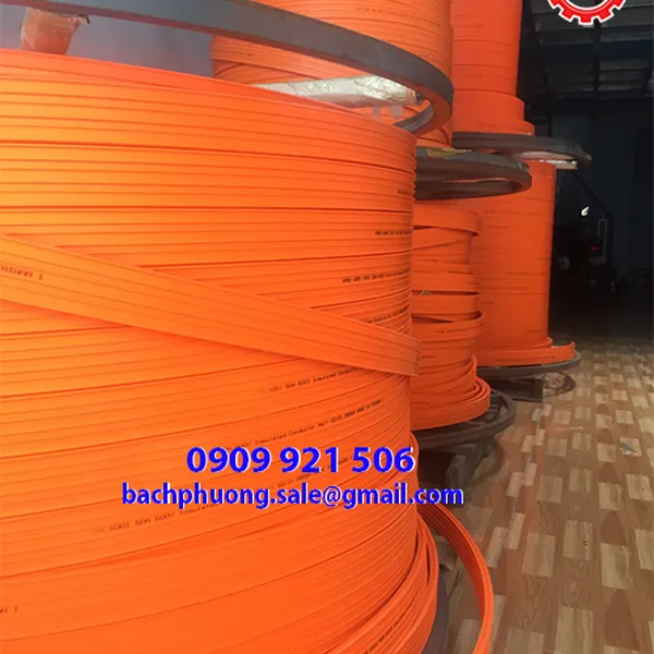 Ray dẫn điện an toàn