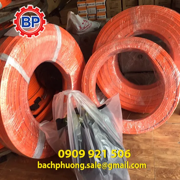 Ray điện 3P100A cho cầu trục