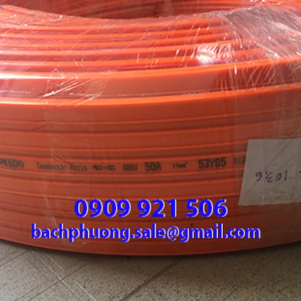 Ray điện an toàn 3P100A