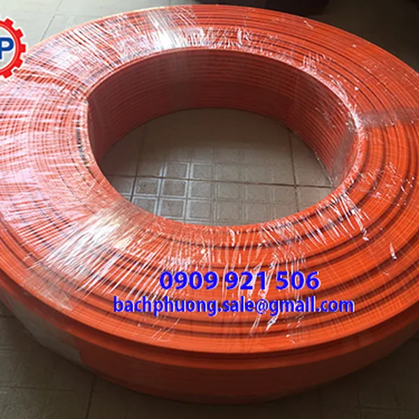 Ray điện an toàn chuyên dùng cho cầu trục