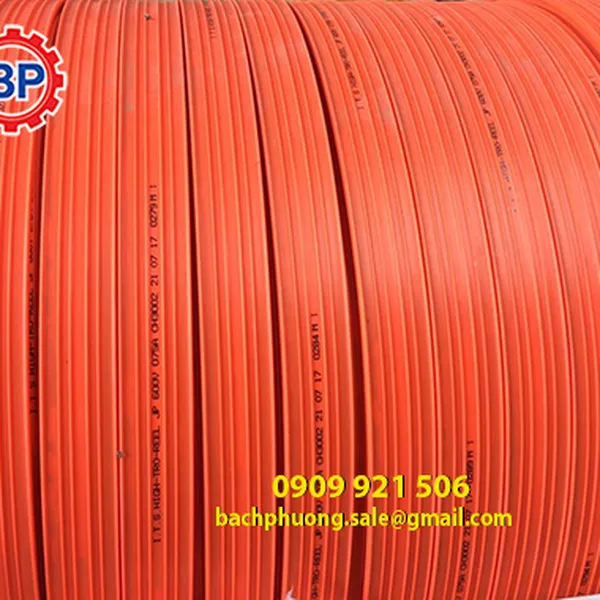 Ray điện cầu trục chính hãng